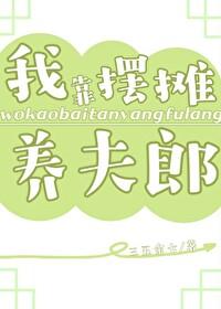 我靠摆摊养夫郎by三五余七全文免费阅读
